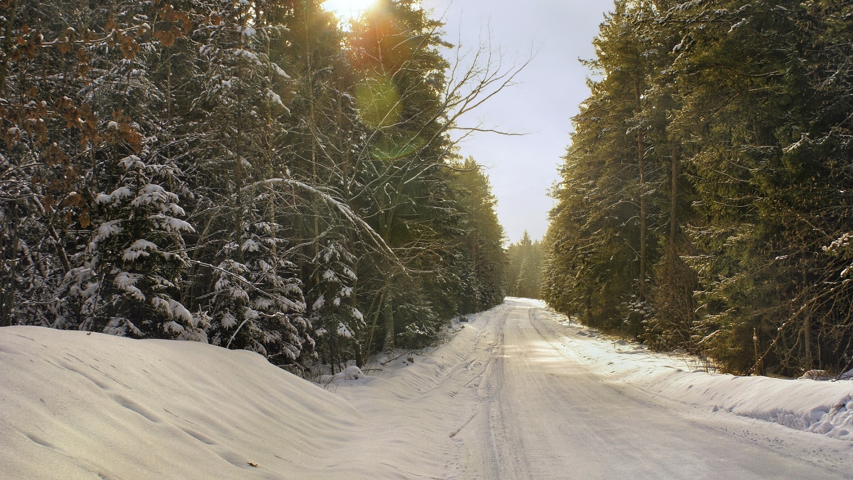 Путь снег. Snow way. Snow way Forest. Smooth Snow way. Фото лес январь 2022.