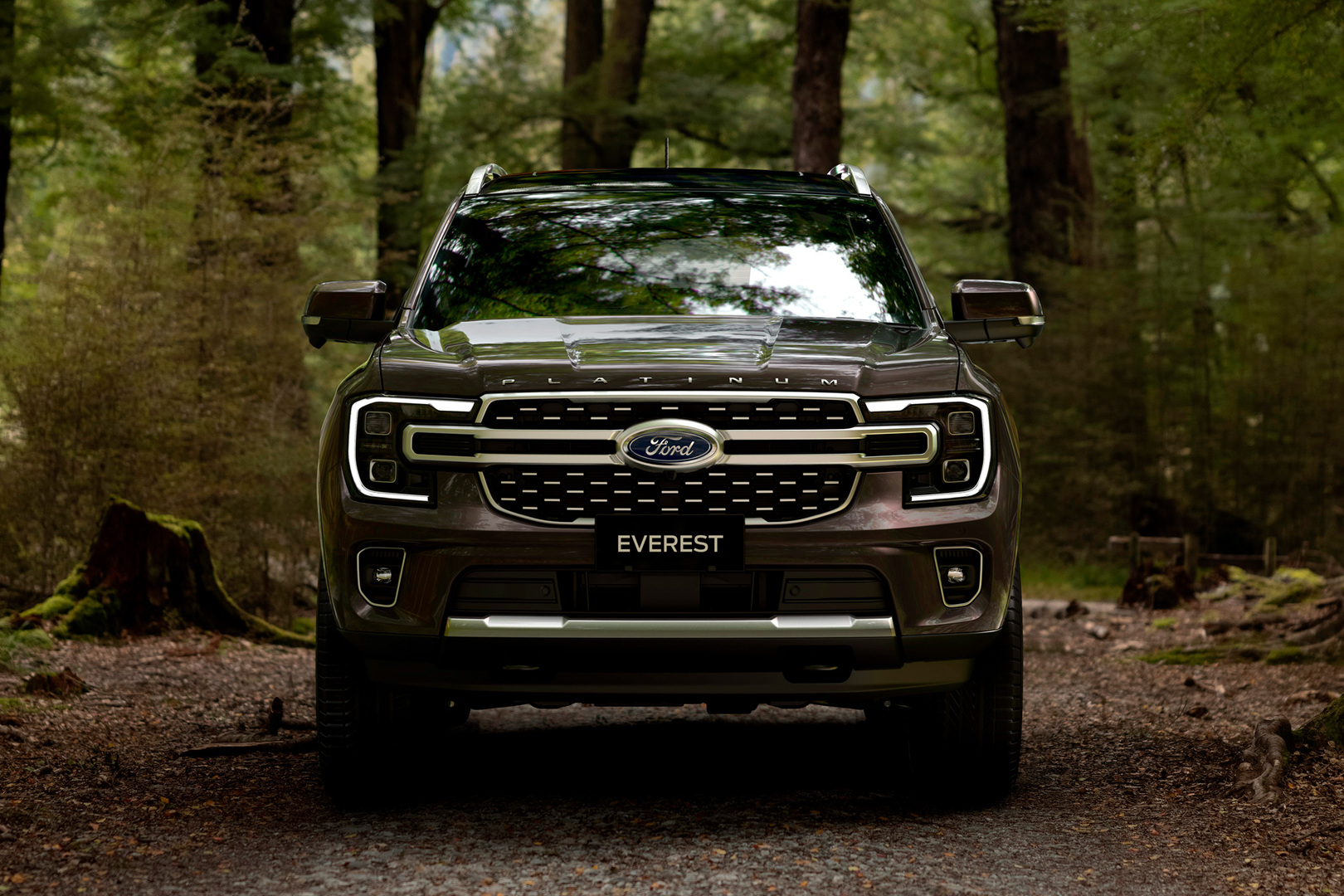 Убийца «Тойоты»»: 5 фактов о внедорожнике Ford Everest - Quto.ru