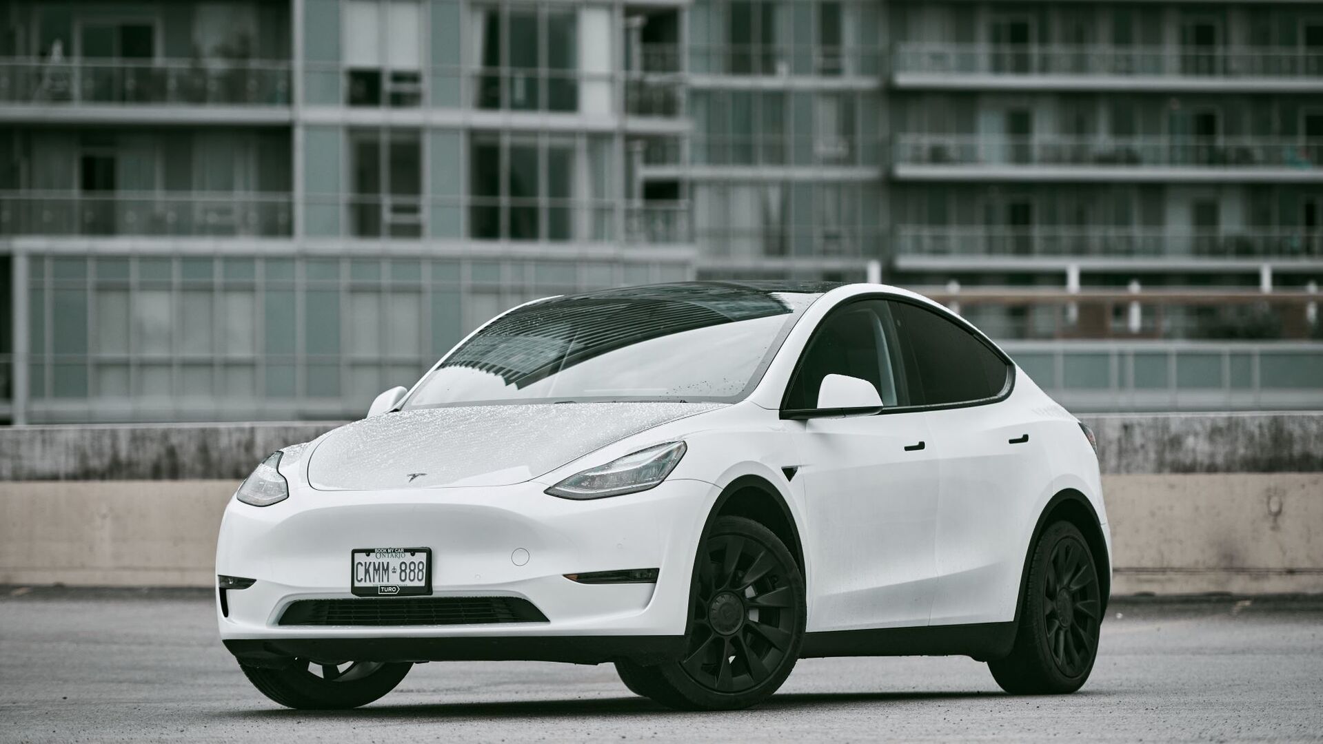 Маск заявил, что Tesla Model Y станет самым продаваемым автомобилем в мире