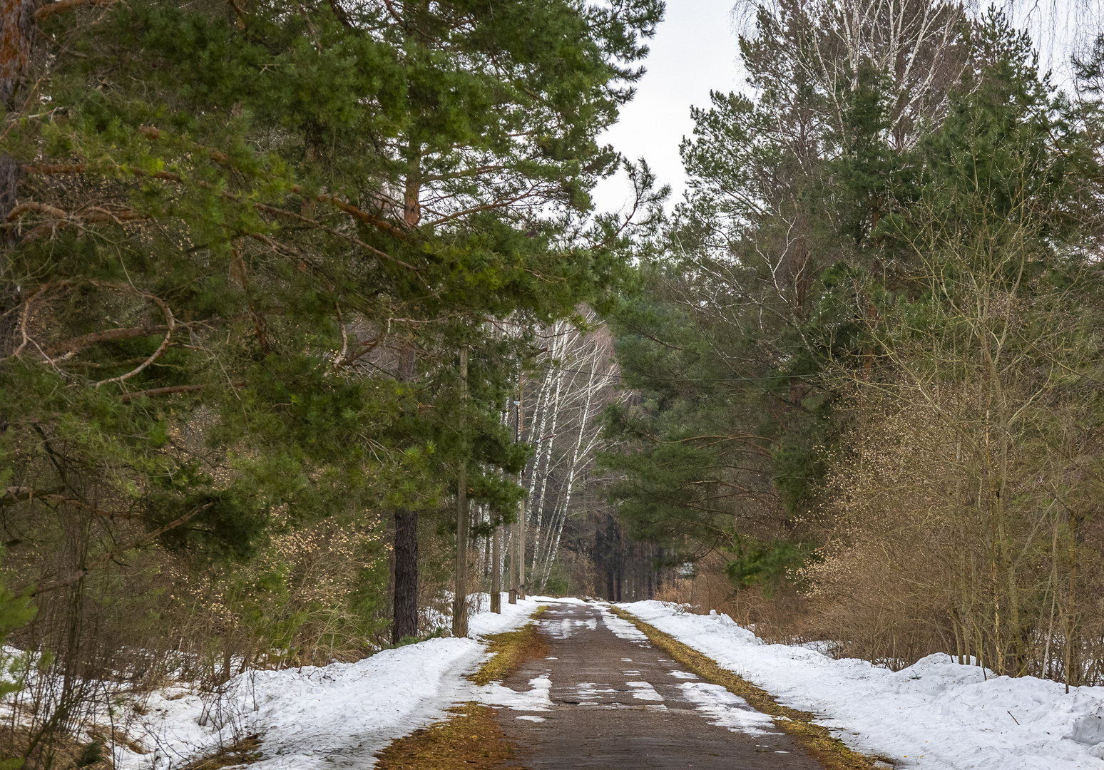 пущино лаборатория. особняк в поместье. ил пущино. усадьба князей вяземских.