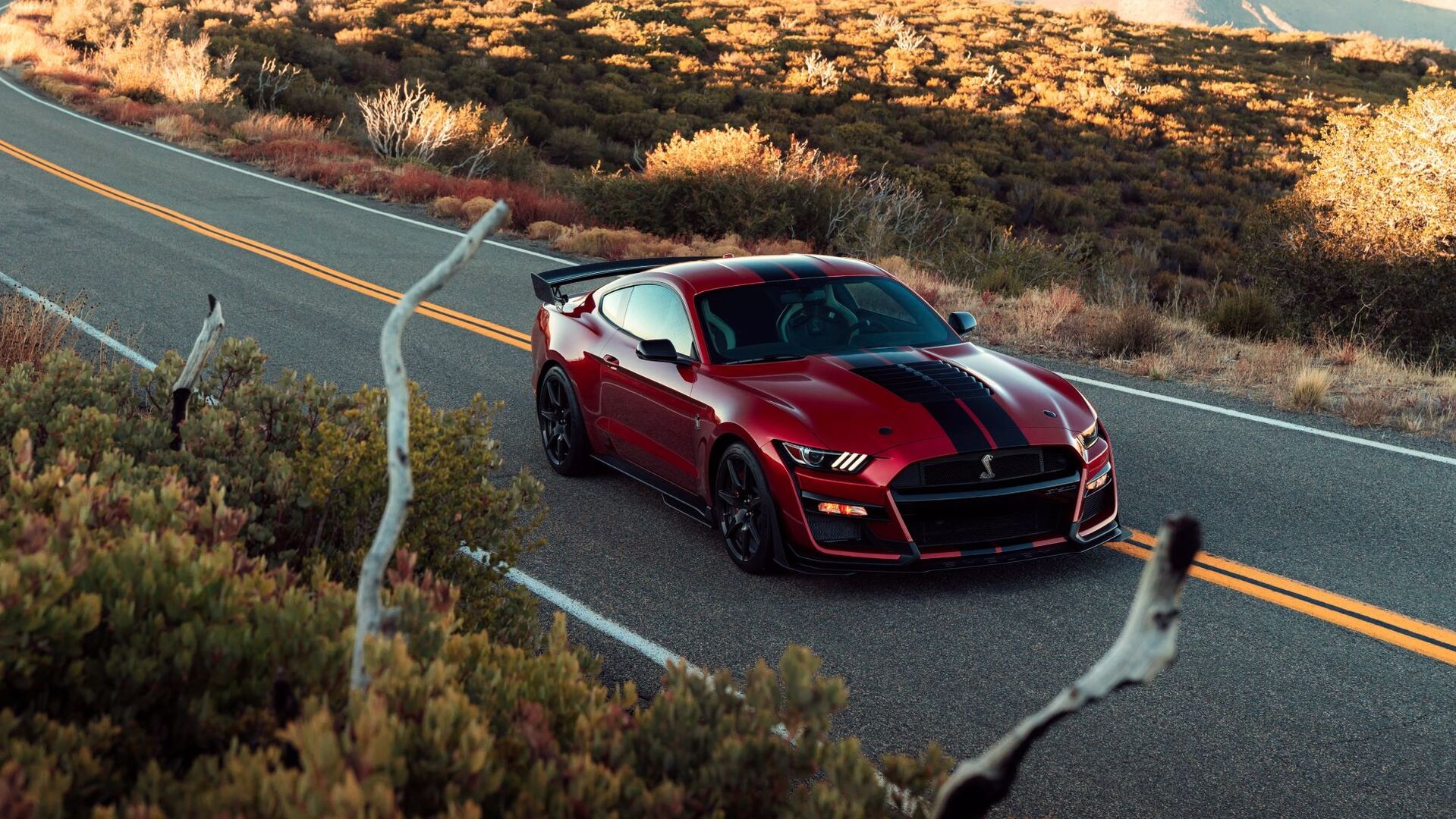 История Ford Mustang Shelby GT500 - Quto.ru