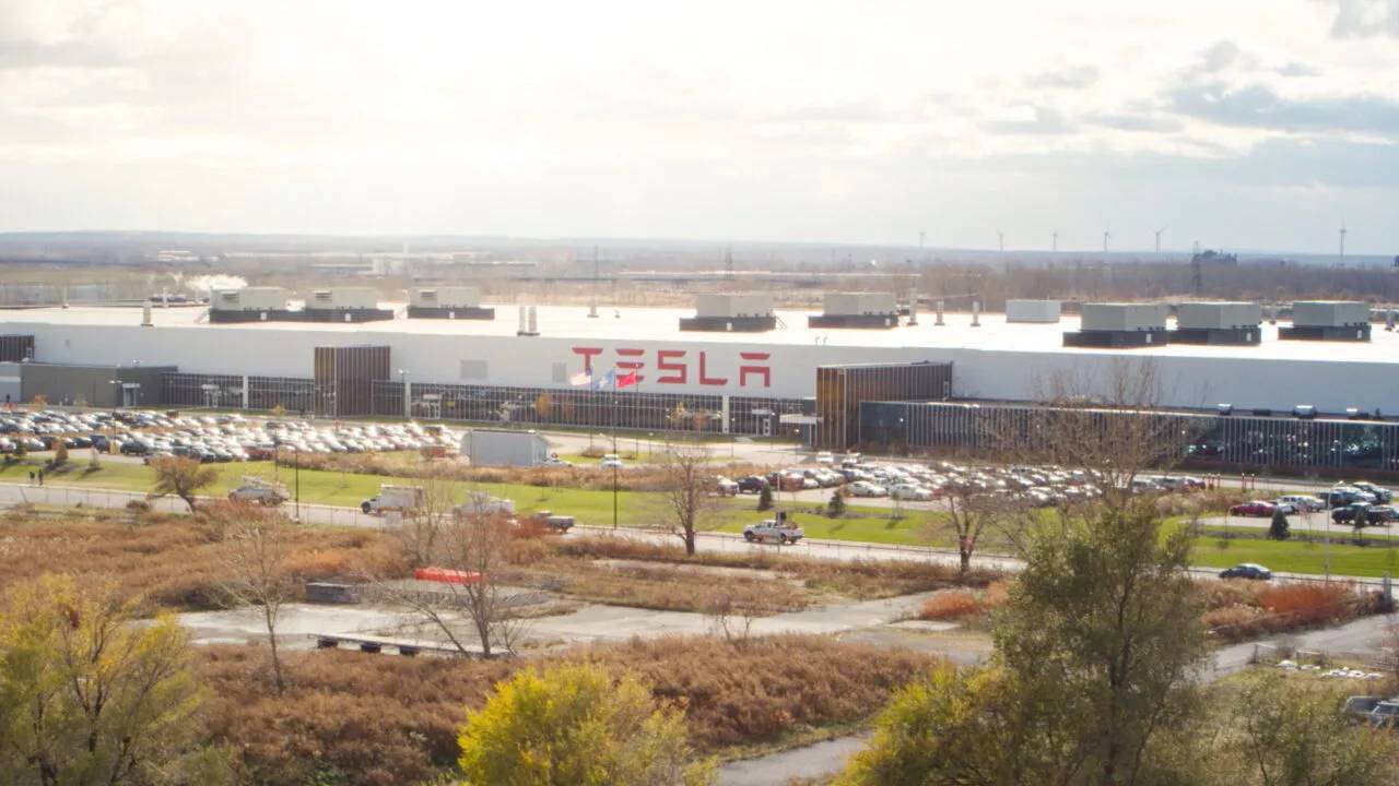 Американский завод Tesla заполонили постельные… 