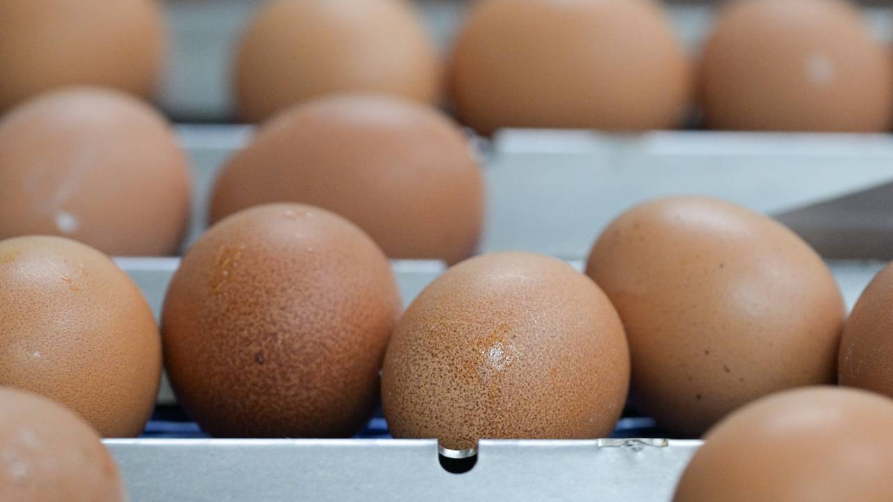 Полиция в Приморье решила найти и наказать закидавшего яйцами машины… 