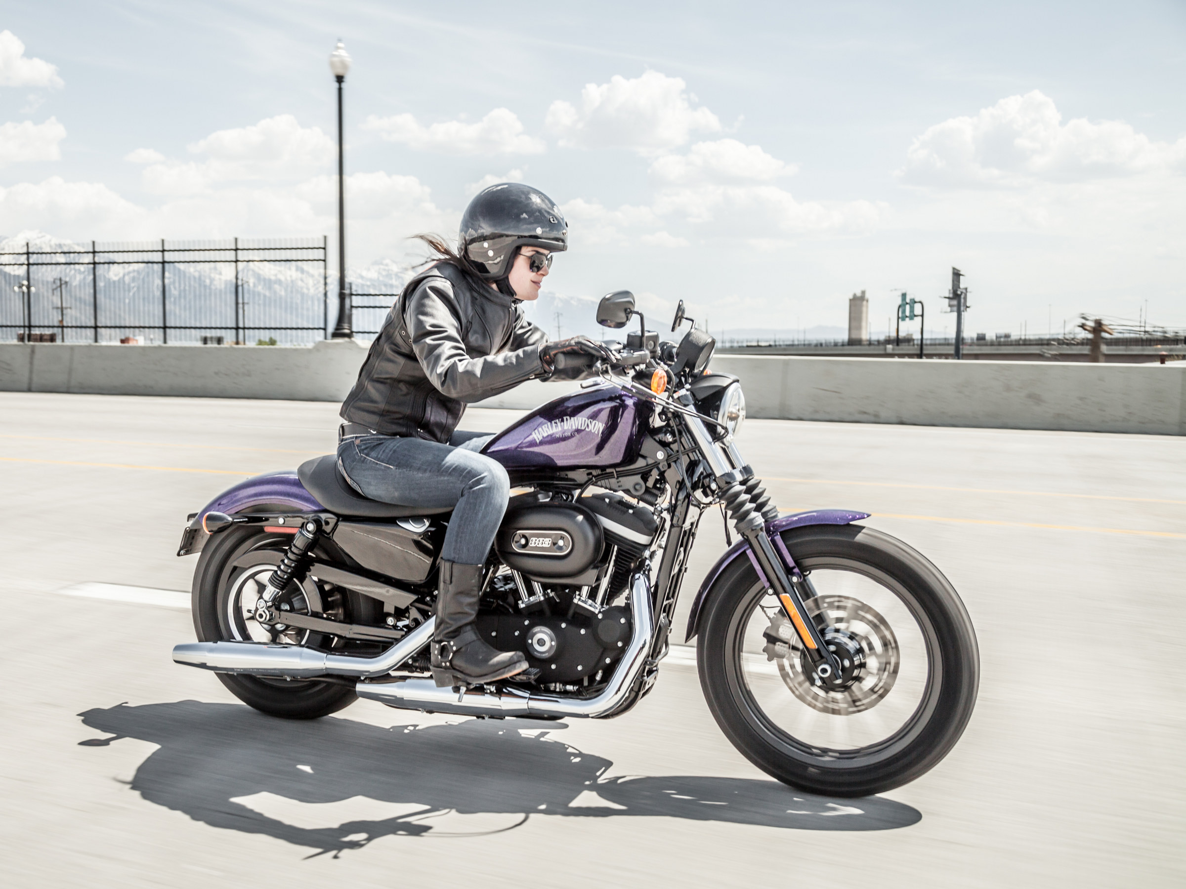 purple sportster 883