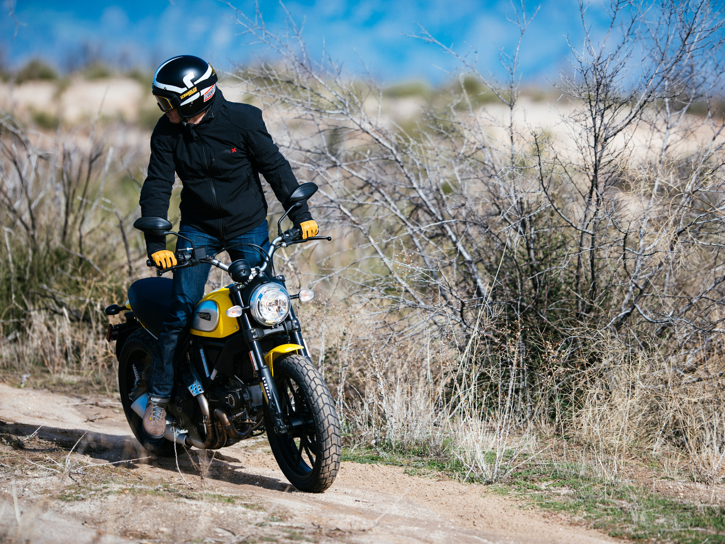 Ducati cheap scrambler motogeo