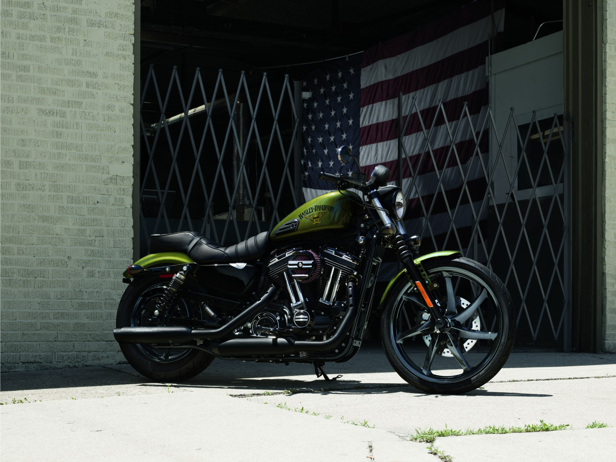 harley davidson iron 883 green