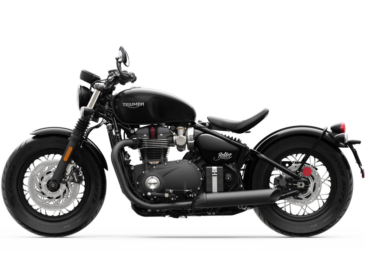 Black store bobber triumph