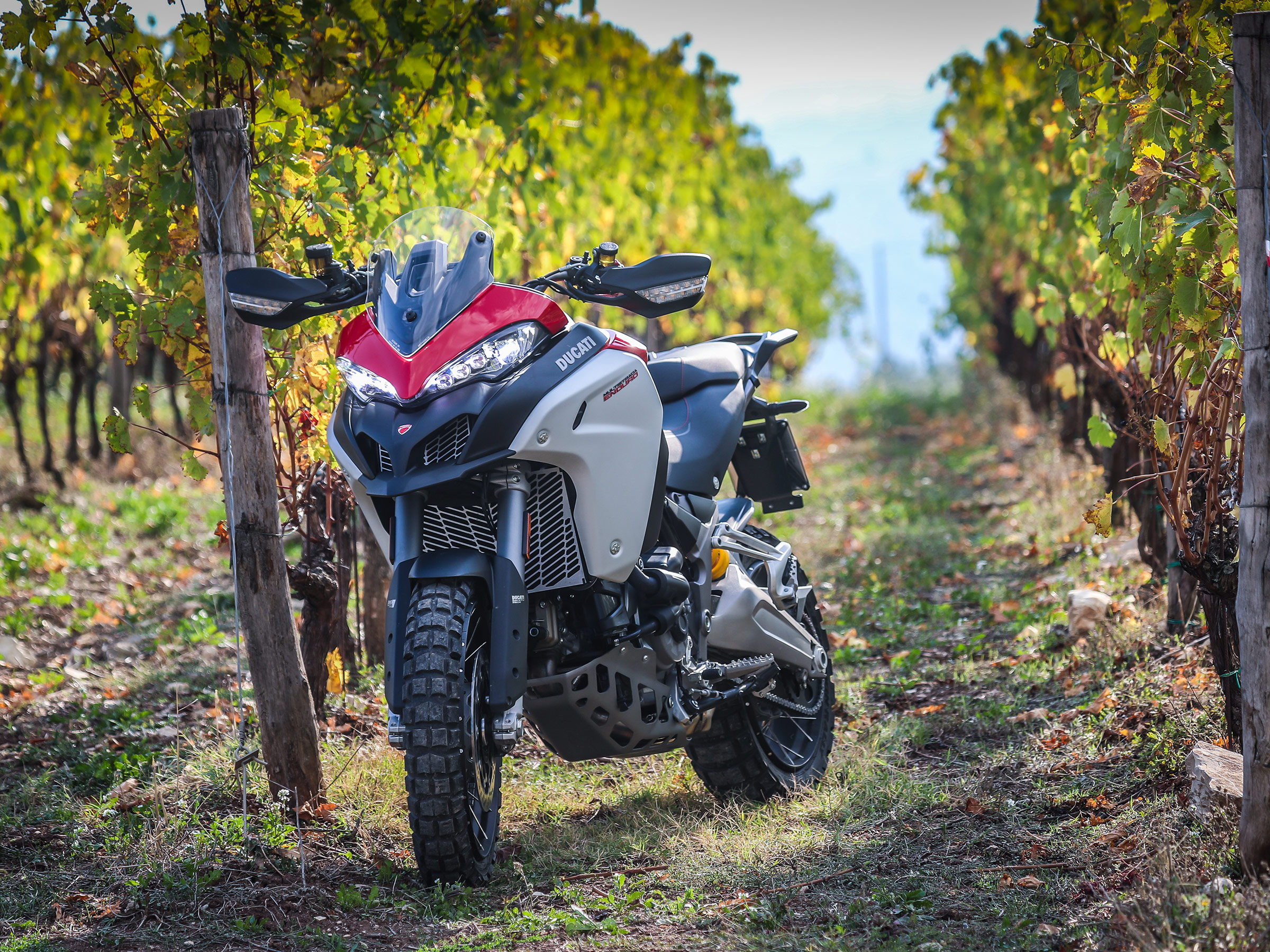 Ducati Multistrada 1260 Enduro 2019 Quto.ru