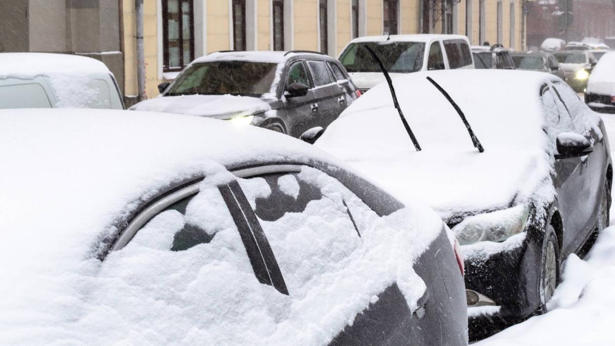 В России назвали самые частые виды страхования автомобилей - Quto.ru