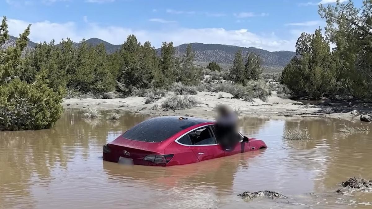 Tesla Model 3 на автопилоте уехала в пруд - Quto.ru