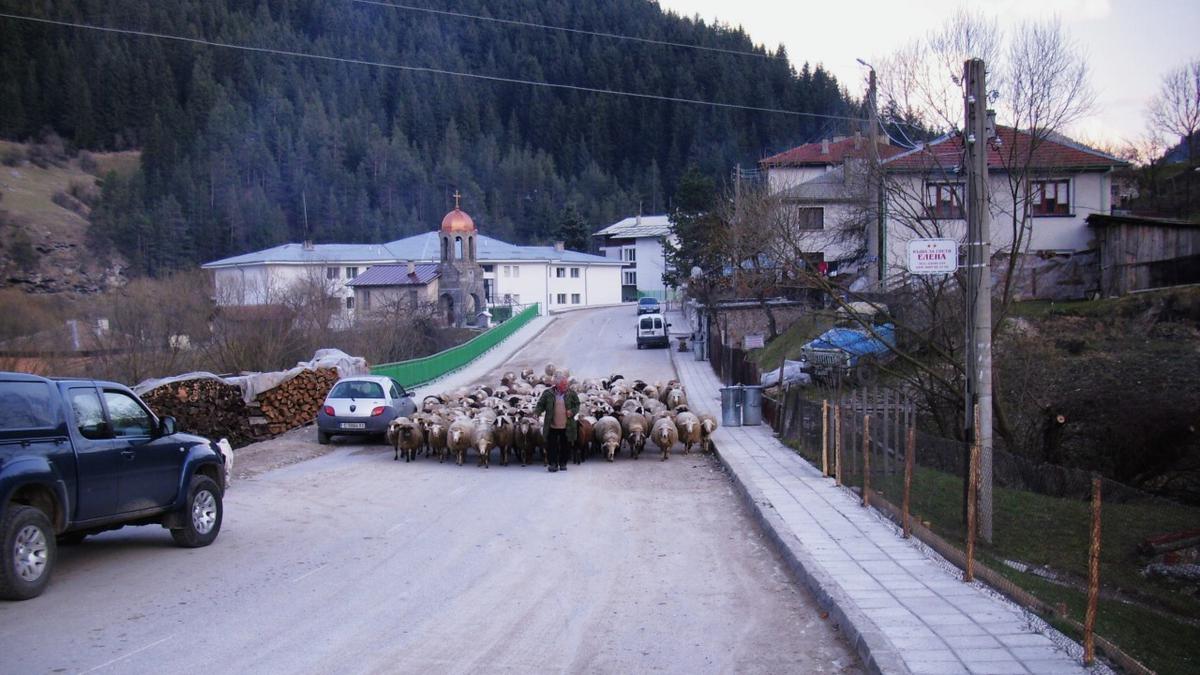 Болгария вводит запрет на въезд автомобилей из РФ - Quto.ru