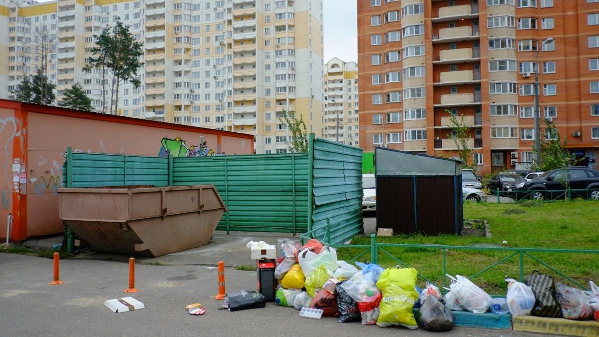 В Подмосковье открыли охоту на машины у мусорных площадок - Quto.ru