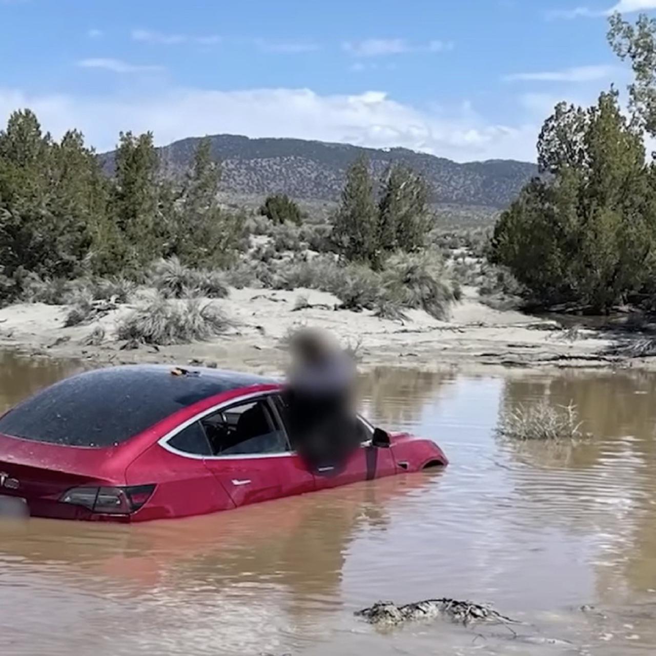 Tesla Model 3 на автопилоте уехала в пруд - Quto.ru