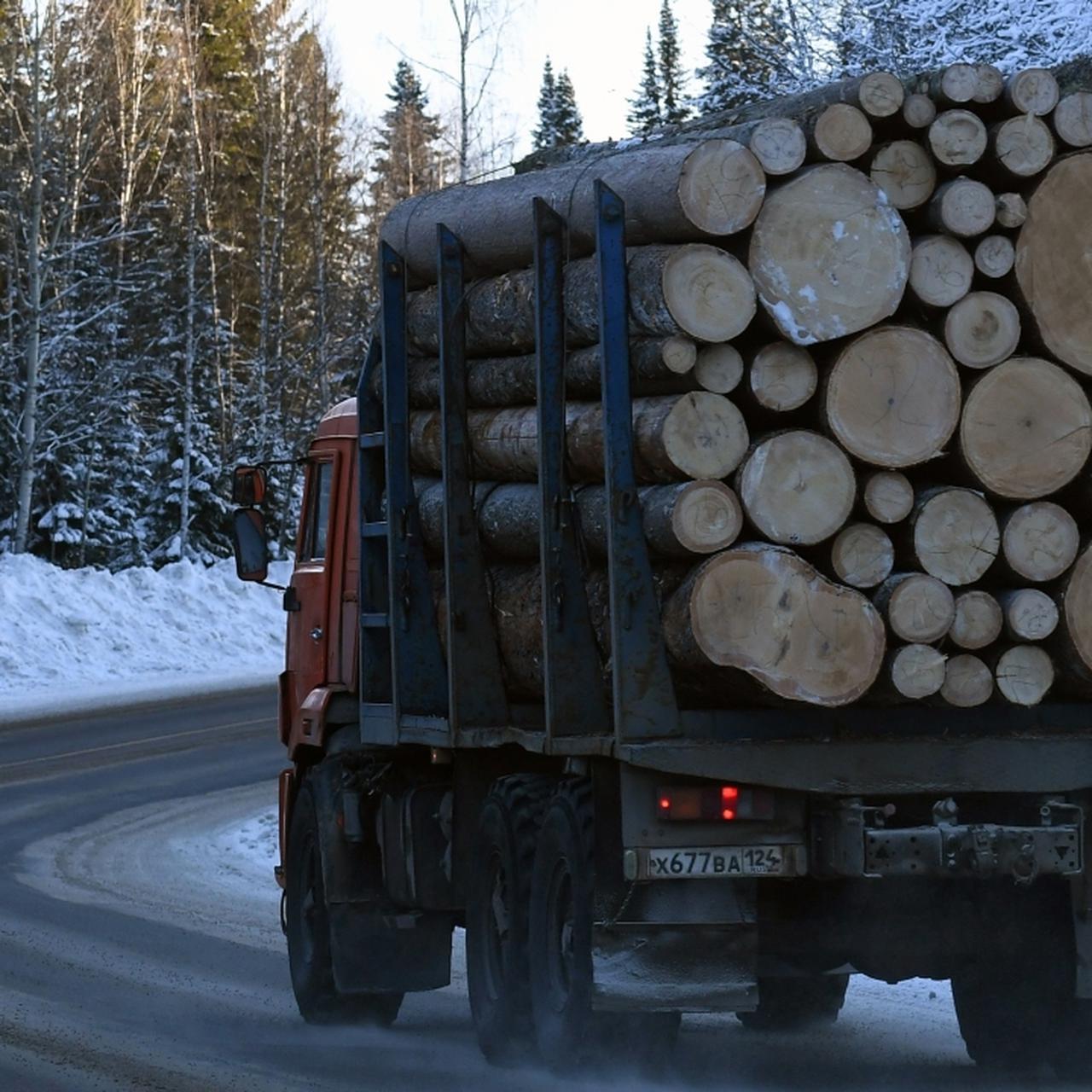 За неправильную перевозку древесины на машинах оштрафуют - Quto.ru