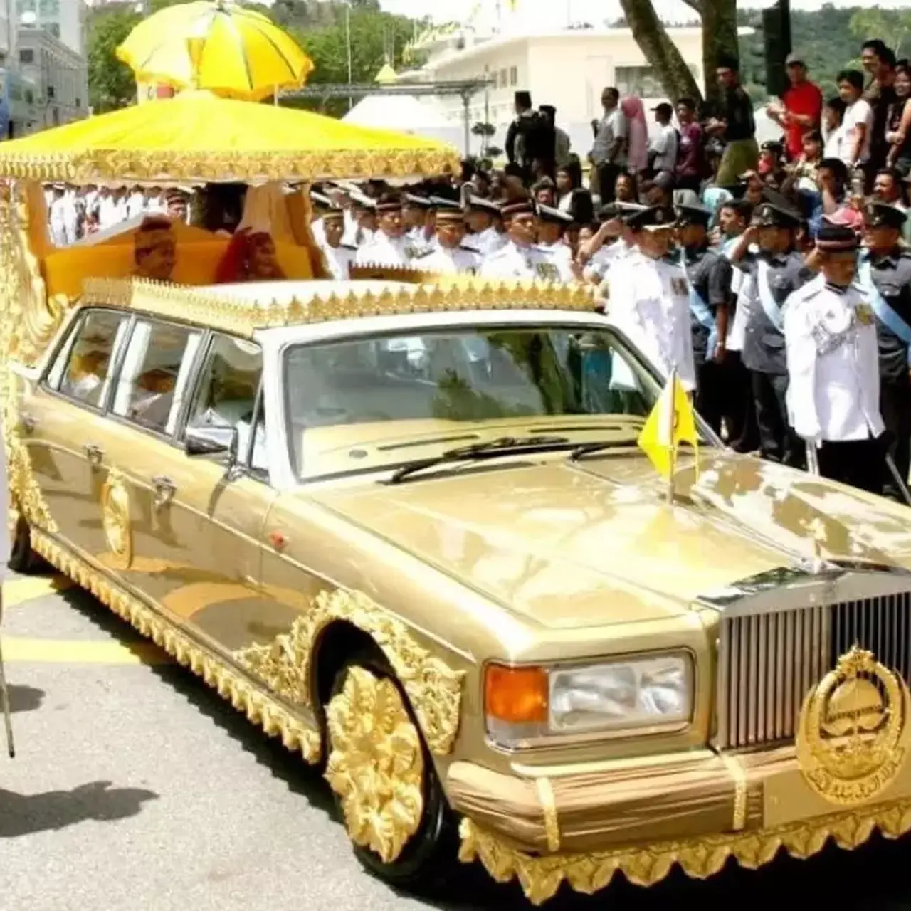 ����� ���� �������