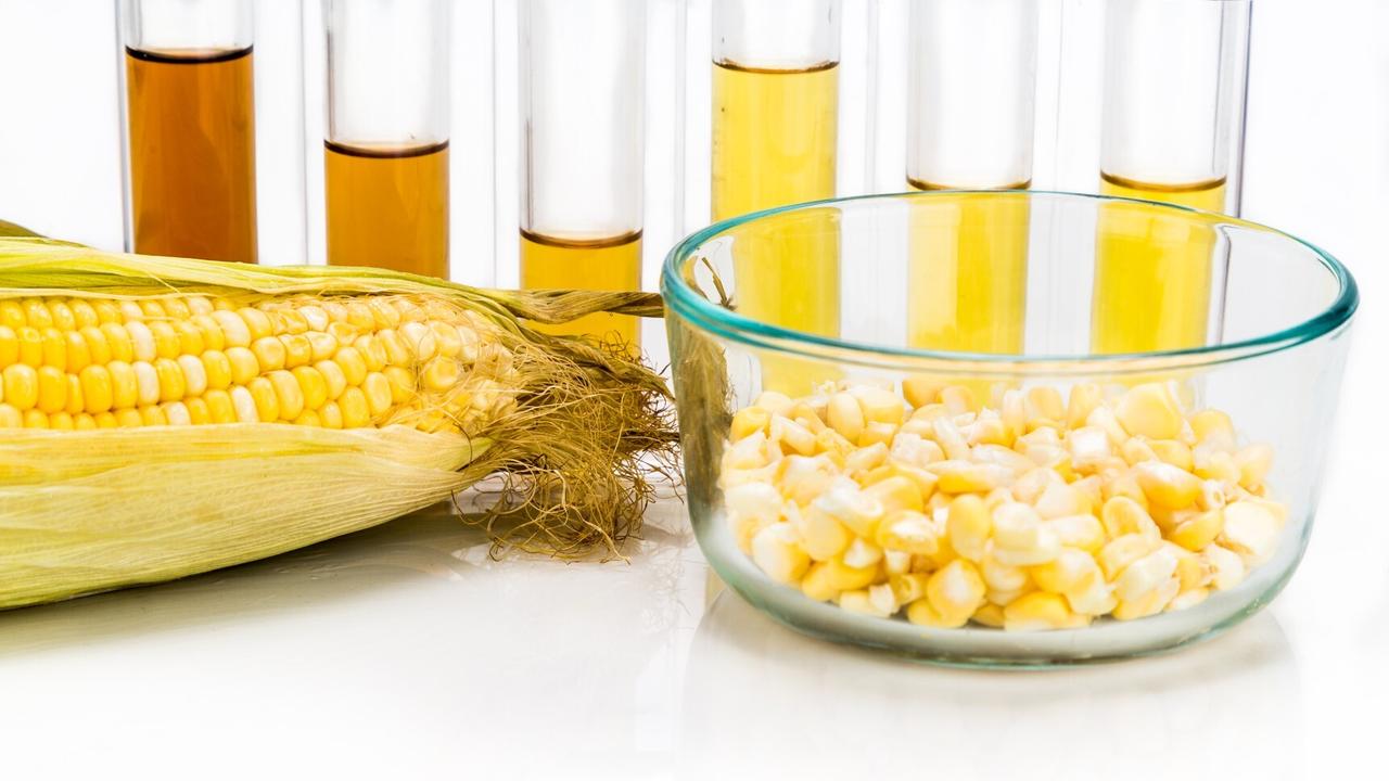 Исследование: биотопливо из кукурузы оказалось вреднее бензина. Как это .