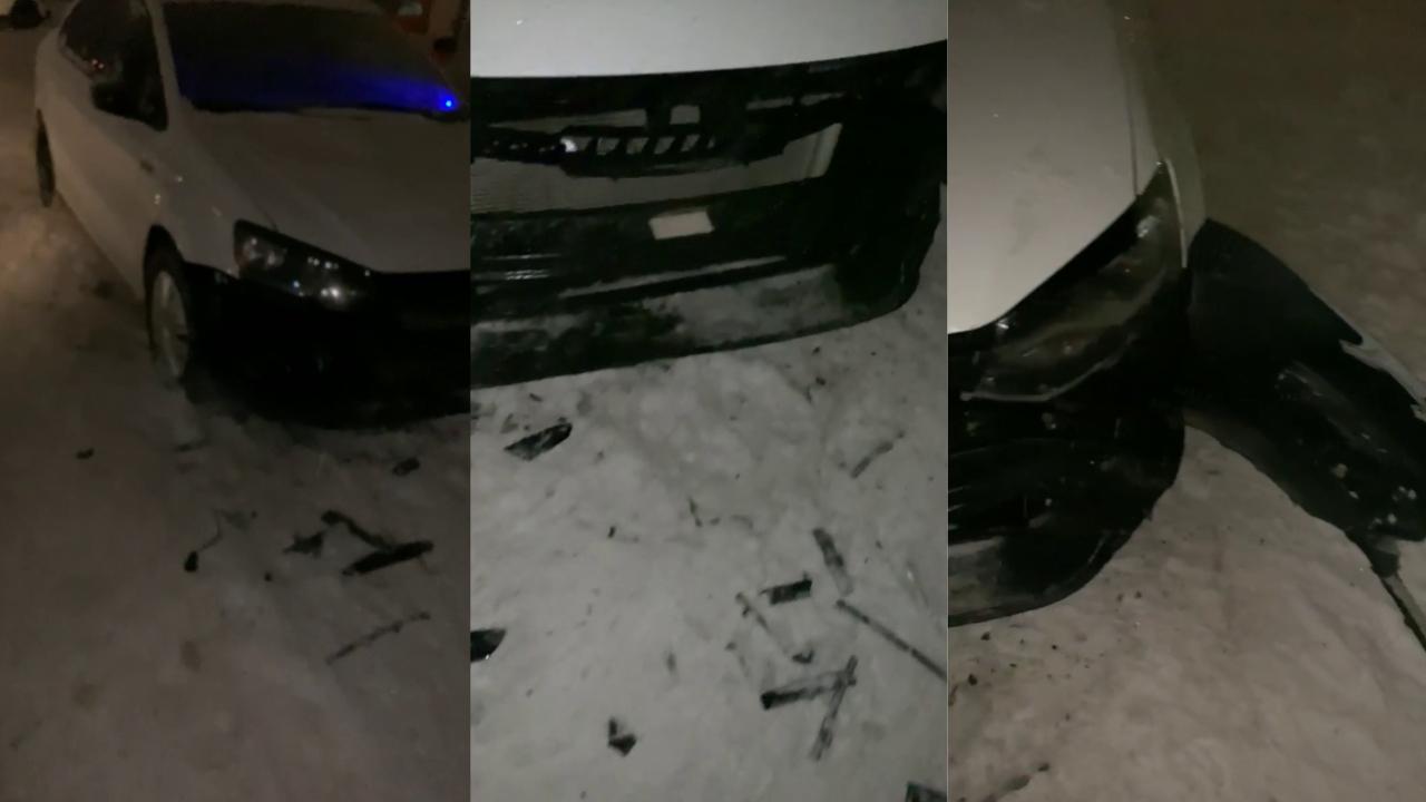 Собаки оторвали бампер