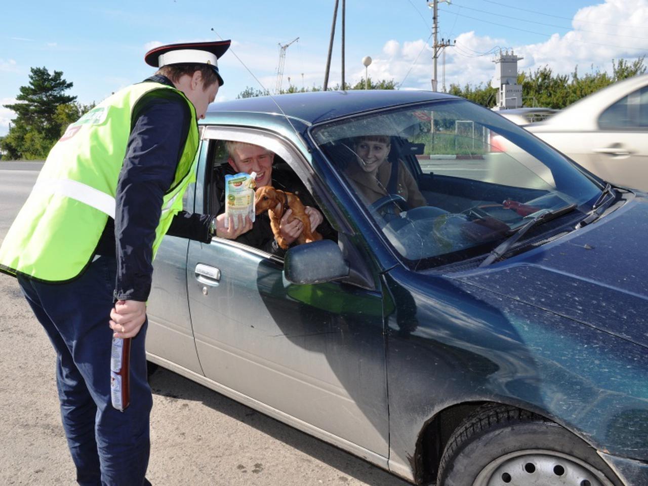 Тюменские автоинспекторы будут останавливать водителей колбасным жезлом -  Quto.ru