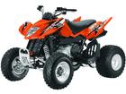 Arctic Cat 300 DVX