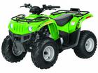 Arctic Cat 90