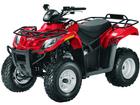Arctic Cat 300