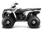 Polaris Sportsman 500 H. O.