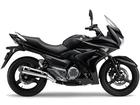 Suzuki GW250F