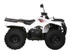 Baltmotors ATV 400 EFI