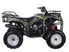 Wels ATV Purga 170