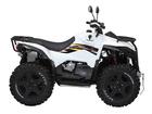 Baltmotors MBX 750 EFI
