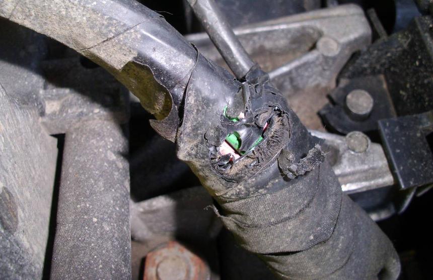 Крысиная возня. Почему грызуны появились под капотом автомобиля