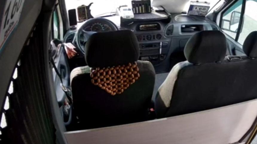 Ворона-воровка утащила у маршрутчика пачку денег из машины (видео)