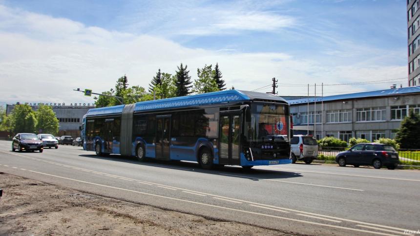 В России создан ещё один электробус-гармошка