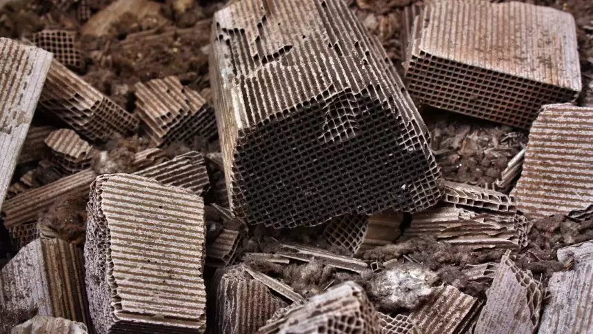 В Нью-Йорке объявили войну похитителям каталитических нейтрализаторов