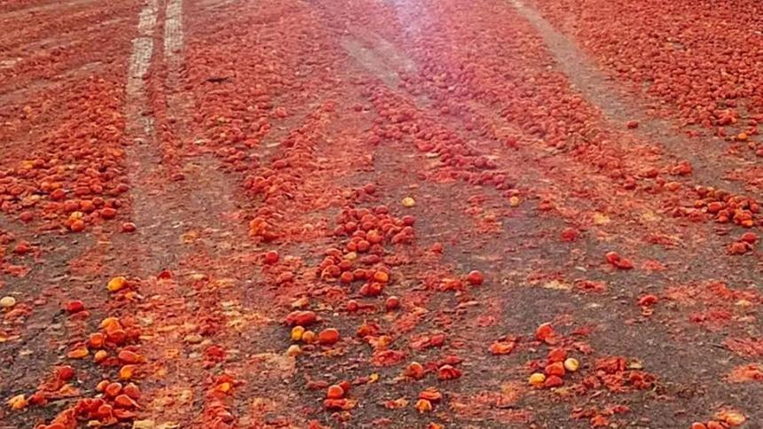 Тонны рассыпанных по трассе помидоров спровоцировали массовое ДТП