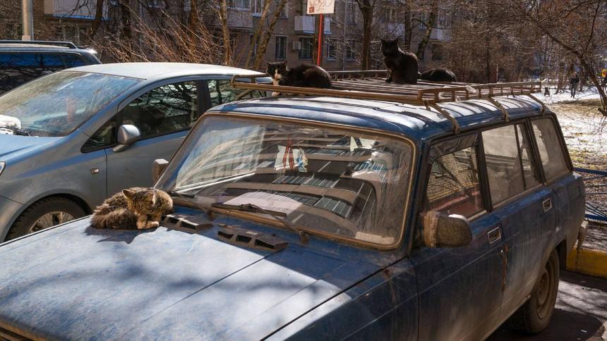 Flickr / Moscow-Live