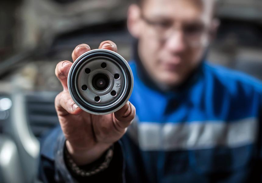 Масложор: от малого до лютого. Куда смотреть и что делать