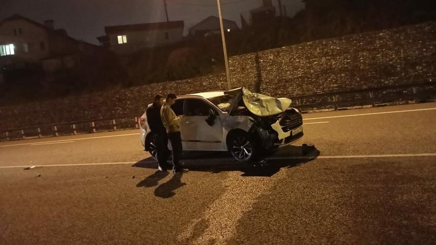 В Сочи за два дня водители сбили трёх коров