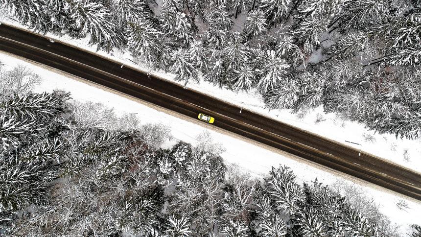 Нижегородскому таксисту отрезали палец из-за ДТП с лосём