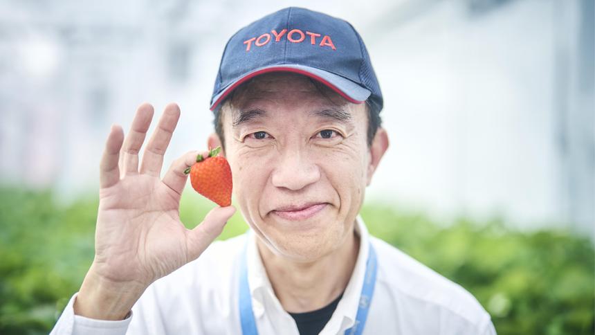 На заводах Toyota начали выращивать клубнику и томаты
