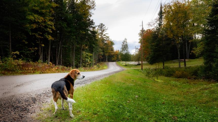 На границе Финляндии и Норвегии усилили контроль за машинами из РФ