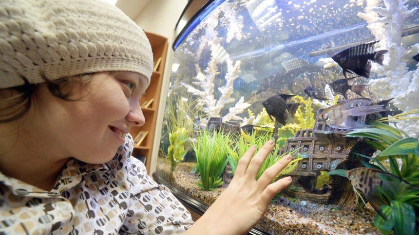 Портал Quto.ru принял участие в акции «Доброшрифт»