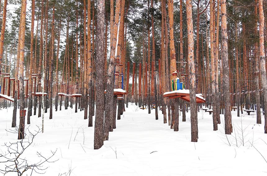 Маршрут выходного дня: три места в Рязанской области, которые должен увидеть каждый