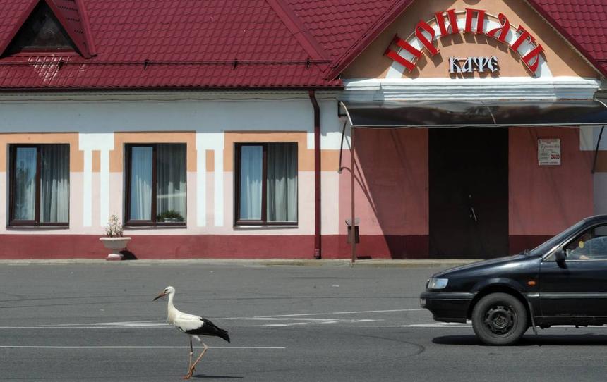 Для поездок в Белоруссию в России появится автостраховка «Синяя карта»