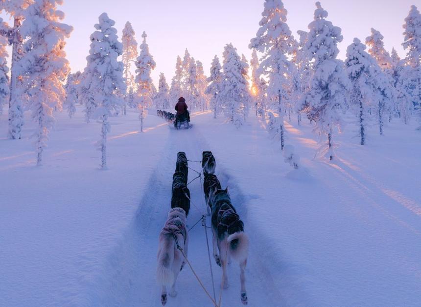 Самый необычный транспорт для туристов