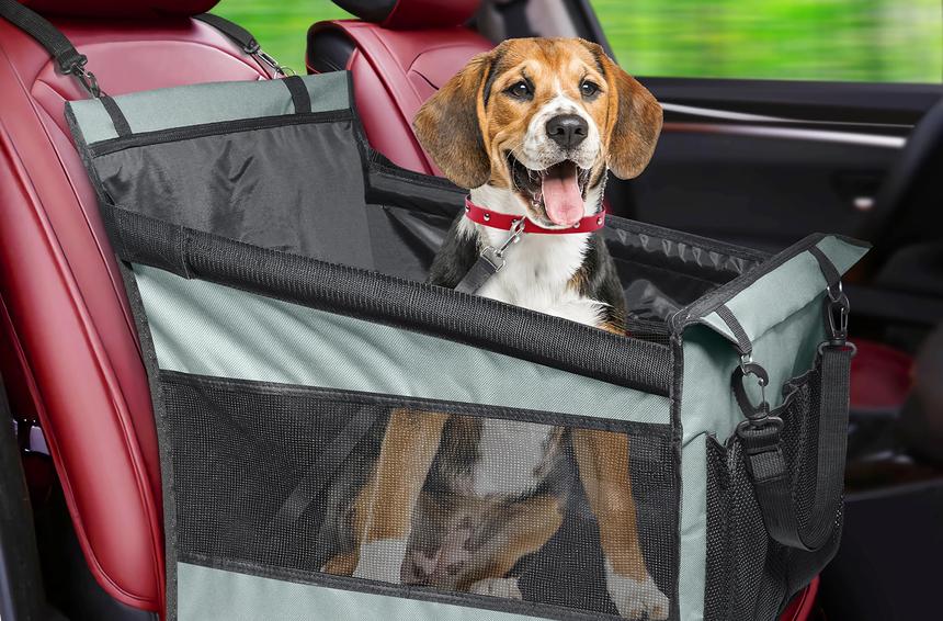 Собака в машине: как сделать поездку приятной и безопасной