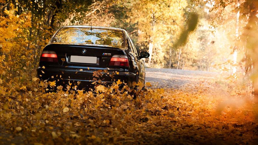 Листья, солнце, «черный лёд»: неочевидные опасности осеннего вождения