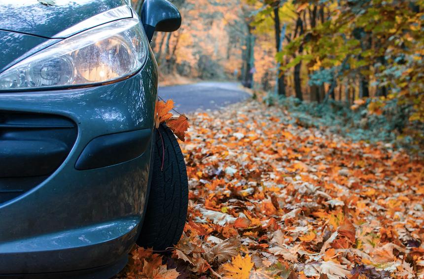 Листья, солнце, «черный лёд»: неочевидные опасности осеннего вождения