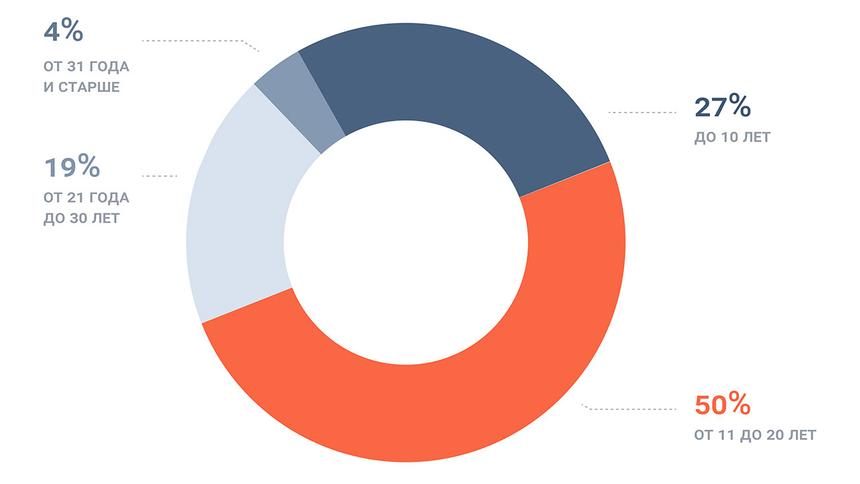 Какие машины выбирают начинающие и опытные водители в России