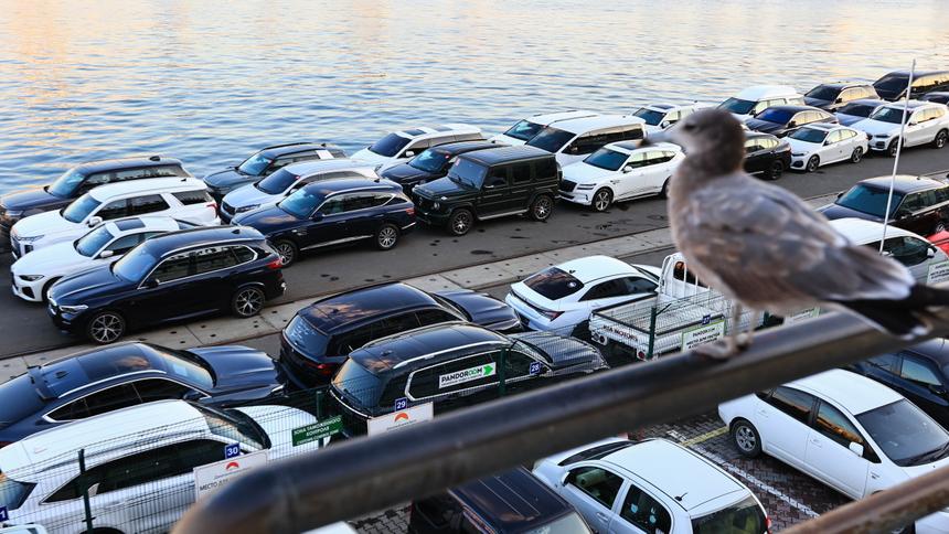 В Приморье изобретают фестивали ради отмены митинга водителей